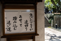 DSC05530