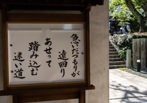 DSC05530