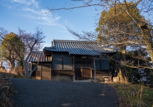 SBJ06154