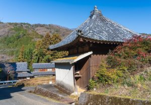 SBJ05195