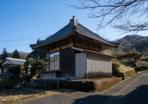 SBJ05196