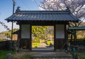 SBJ06307