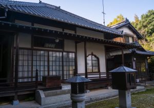 SBJ06313