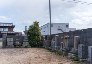 DSC09377