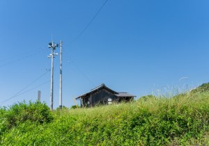 SBJ01190