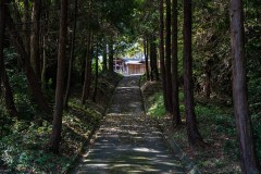 DSC07337