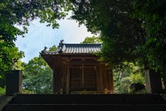 DSC07351