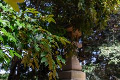 DSC07358