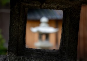 DSC07667