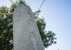 SBJ02428