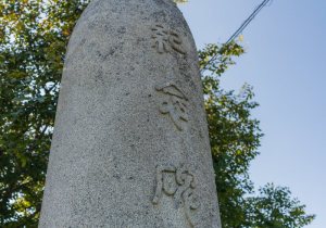 SBJ02429