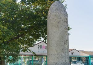 SBJ02451