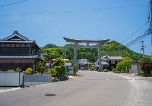 SBJ01025