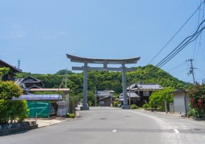 SBJ01026