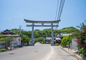 SBJ01027