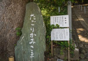 SBJ01055