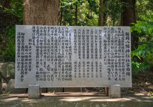 SBJ01075