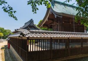SBJ01106
