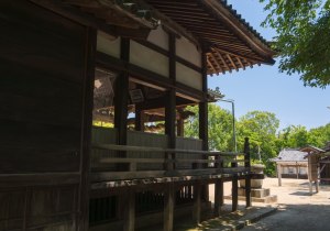 SBJ01114