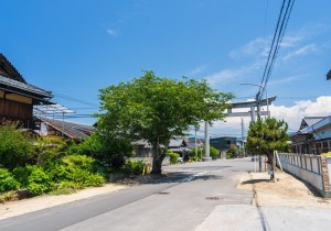 SBJ01124