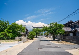 SBJ01126