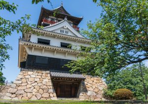 SBJ01573