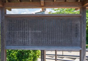 SBJ01604