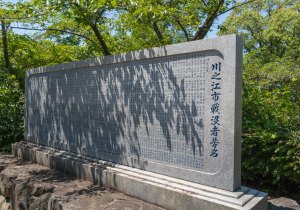 SBJ01614