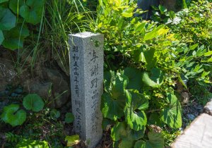 SBJ01620
