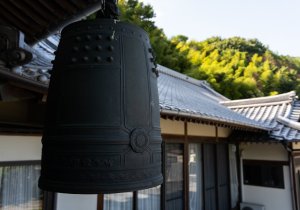 SBJ05265