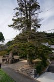 DSC00258