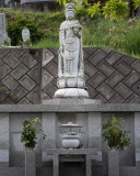 DSC00677