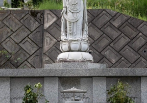 SBJ00677