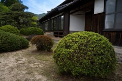 DSC00686