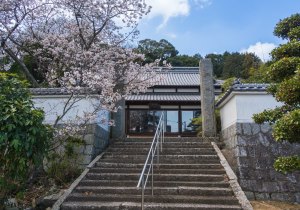 SBJ06163