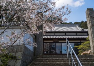 SBJ06181