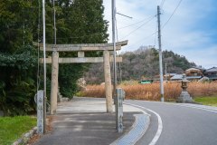 DSC01533-Enhanced-NR