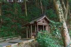 DSC01548-Enhanced-NR