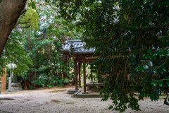 DSC01549-Enhanced-NR