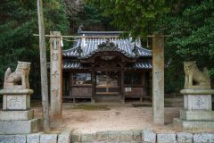 DSC01561-Enhanced-NR