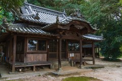 DSC01566-Enhanced-NR