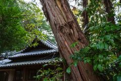 DSC01573-Enhanced-NR