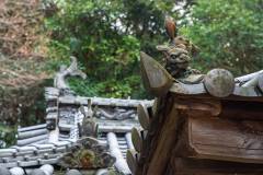 DSC01576-Enhanced-NR