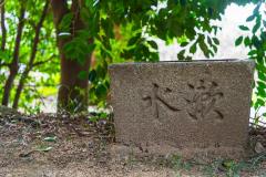 DSC01583-Enhanced-NR