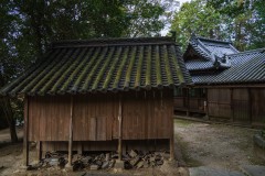 DSC01587-Enhanced-NR