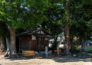 DSC06022