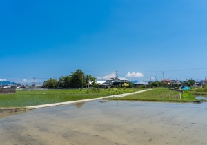 SBJ02714