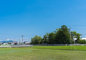 SBJ02719