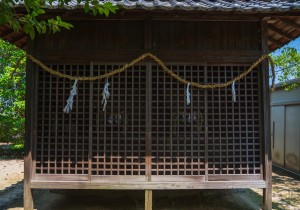 SBJ02752