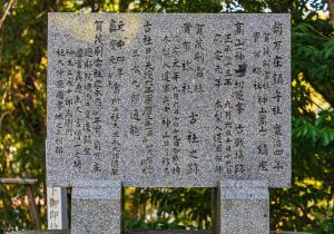 SBJ08959